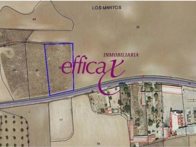 Terreno en venta en Carmena, Castilla-La Mancha