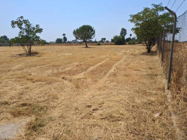 Terreno en venta en La Celada, Carmona