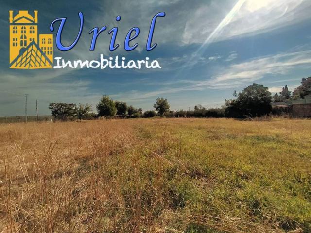 Terreno en venta en Carmona, Sevilla