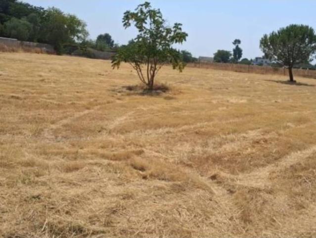 Terreno en venta en Carmona, Andalucía