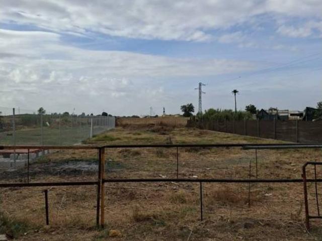 Terreno en venta en Carmona, Sevilla