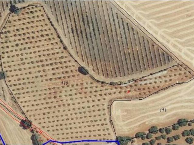 Terreno en venta en Carmona, Sevilla
