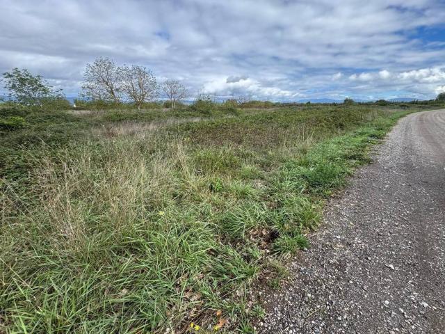 Terreno en venta en Carracedo - San Juan, Carracedelo