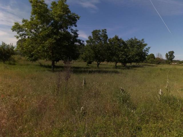 Terreno en venta en El Bierzo, Castilla y León