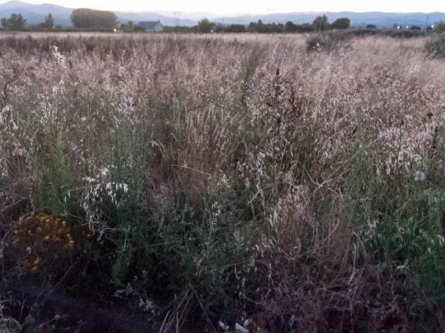 Terreno en venta en El Bierzo, Castilla y León