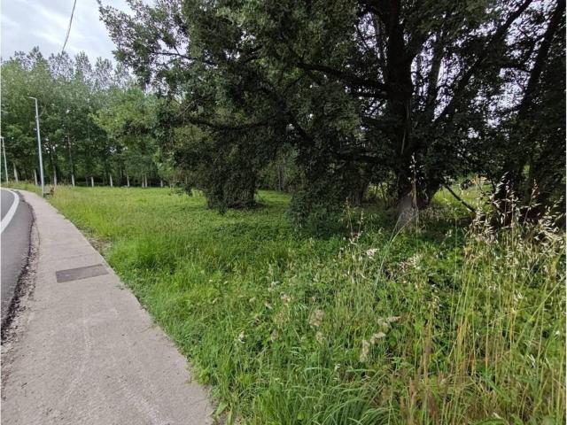 Terreno en venta en El Bierzo, Castilla y León