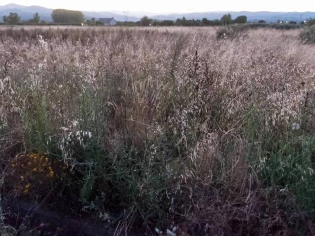 Terreno en venta en El Bierzo, Castilla y León