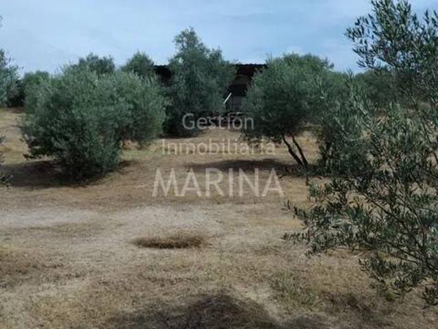 Terreno en venta en Carranque, Castilla-La Mancha