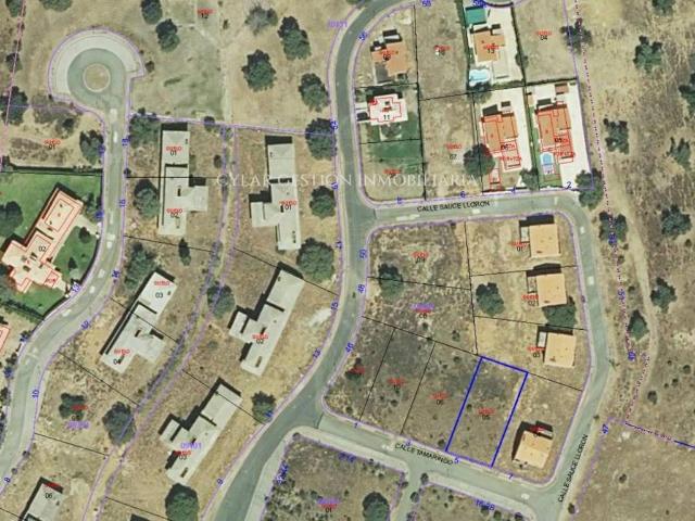 Terreno en venta en Carrascal De Barregas, Castilla y León