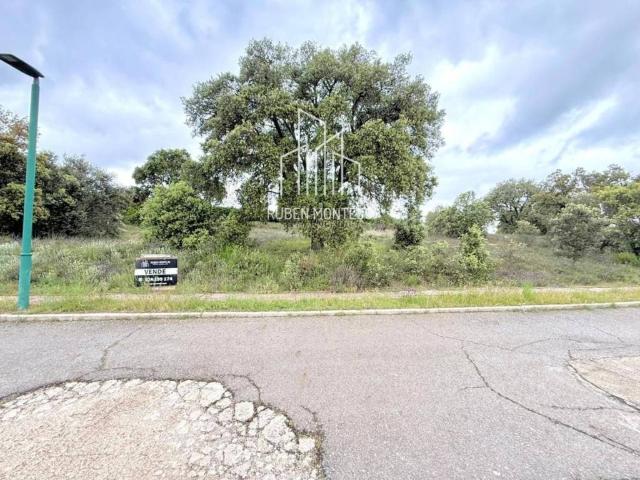 Terreno en venta en Carrascal De Barregas, Castilla y León