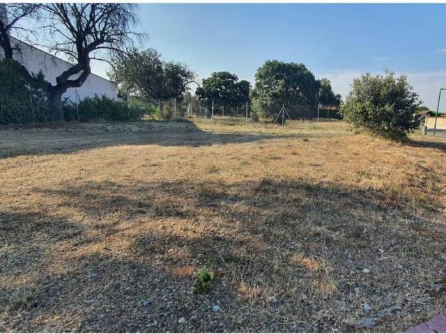Terreno en venta en Carrascal De Barregas, Castilla y León