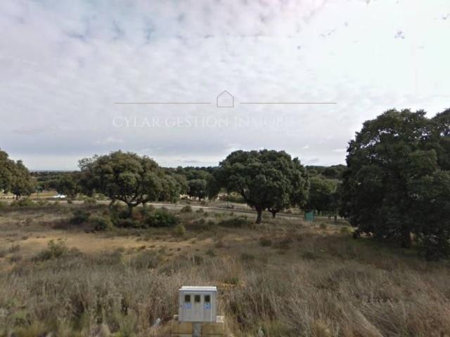 Terreno en venta en Carrascal De Barregas, Castilla y León