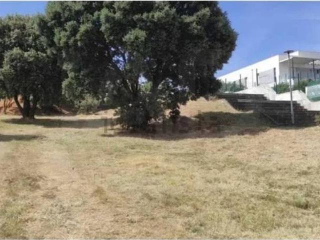 Terreno en venta en Carrascal De Barregas, Castilla y León