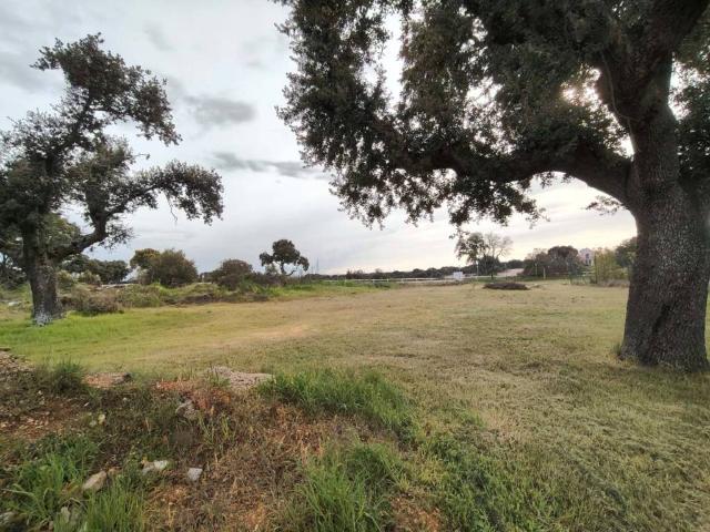 Terreno en venta en Carrascal De Barregas, Castilla y León