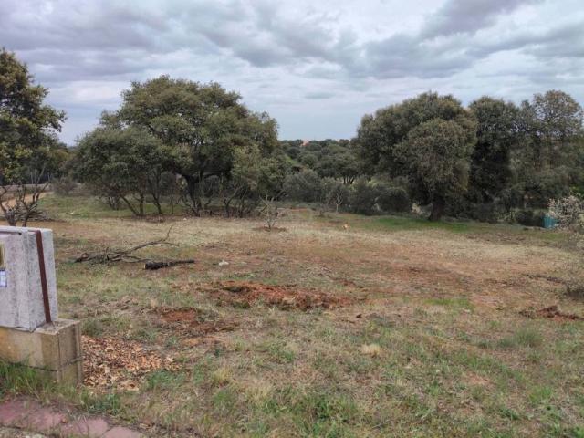 Terreno en venta en Carrascal De Barregas, Castilla y León