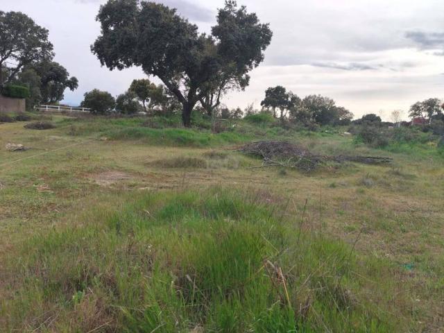Terreno en venta en Carrascal De Barregas, Castilla y León