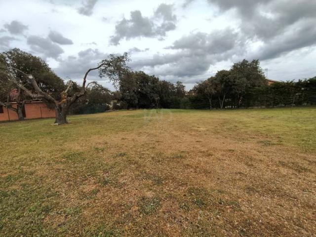 Terreno en venta en Carrascal De Barregas, Castilla y León