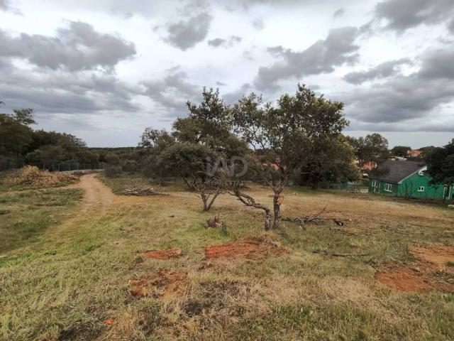 Terreno en venta en Carrascal De Barregas, Castilla y León