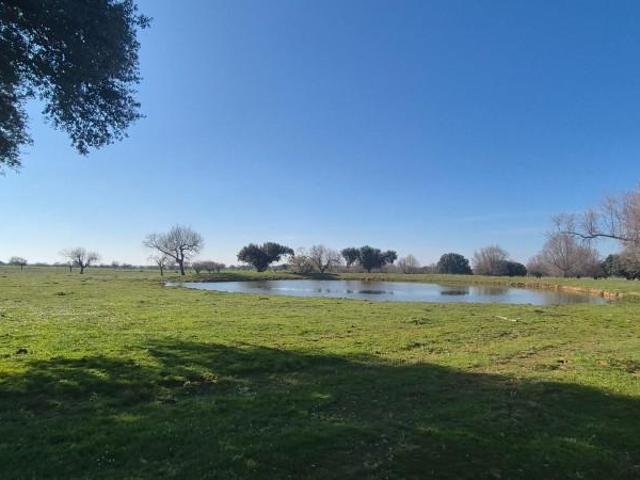 Terreno en venta en Carrascal Del Obispo, Castilla y León