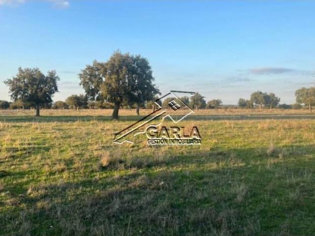 Terreno en venta en Carrascal Del Obispo, Castilla y León