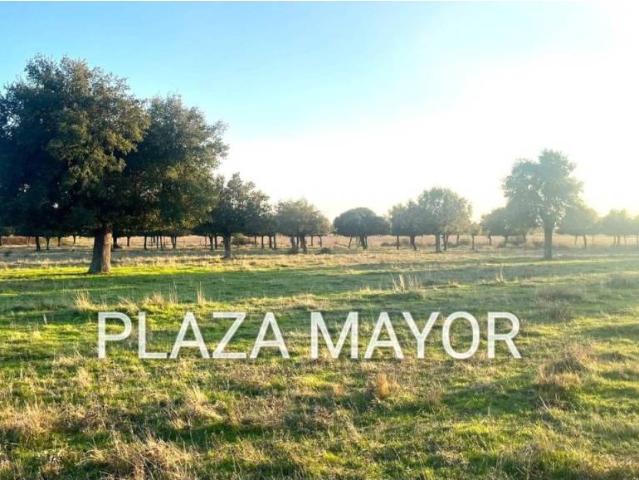 Terreno en venta en Carrascal Del Obispo, Salamanca