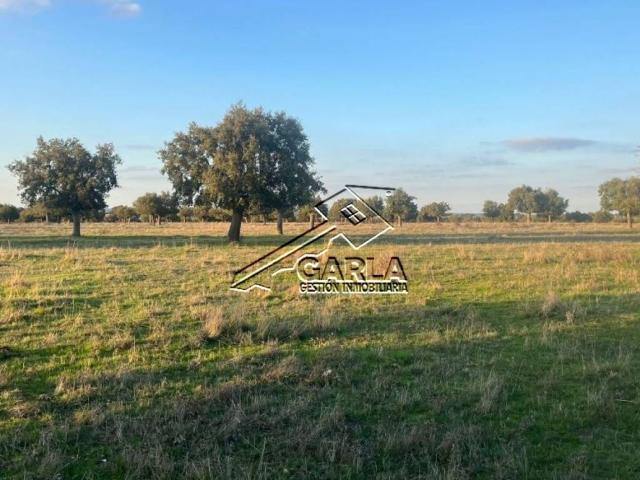Terreno en venta en Carrascal Del Obispo