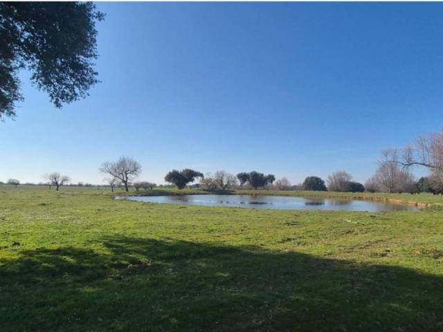Terreno en venta en Carrascal Del Obispo, Castilla y León