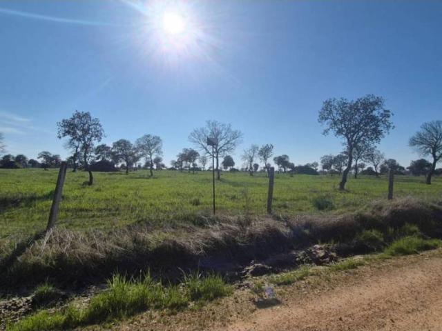 Terreno en venta en Carrascal Del Obispo, Castilla y León
