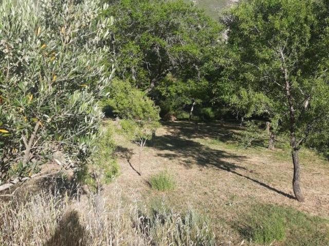 Terreno en venta en Valle De Tabladillo, Castilla y León