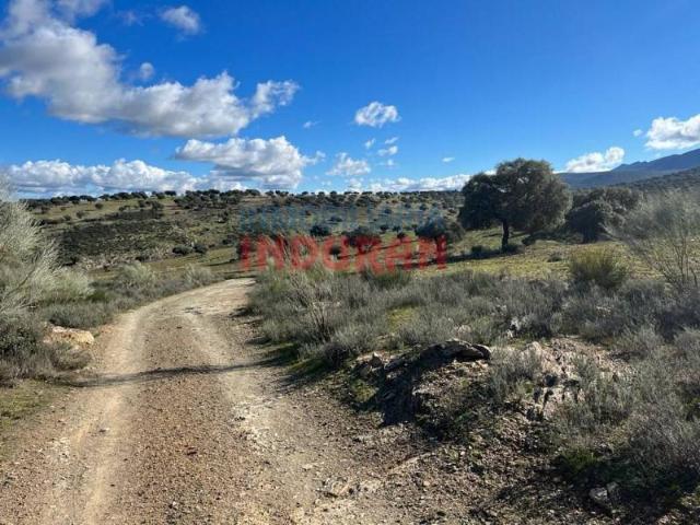 Terreno en venta en Carrascalejo, Extremadura