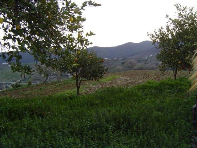 Terreno en venta en Carratraca