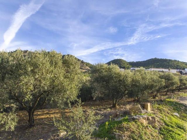 Terreno en venta en Carratraca