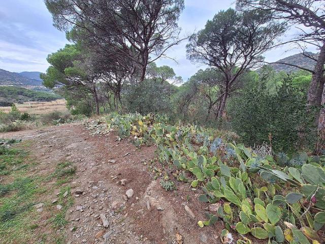Terreno en venta en Alt Empordà, Catalunya