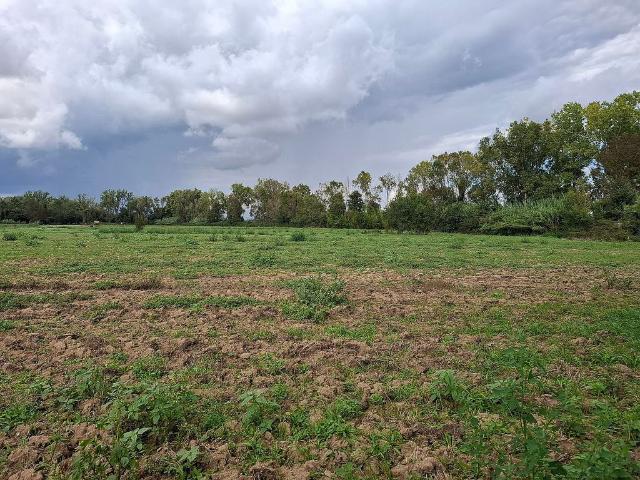 Terreno en venta en Terrafortuna, la Selva