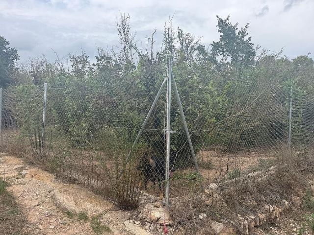 Terreno en venta en Tarragonès, Catalunya