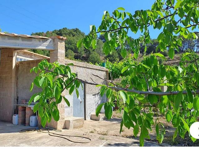 Terreno en venta en Baix Camp, Catalunya