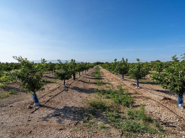 Terreno en venta en Montsià, Catalunya