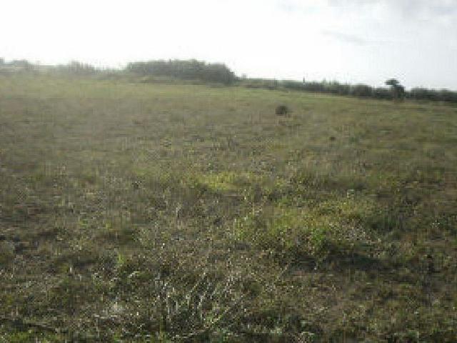 Terreno en venta en Montsià, Catalunya