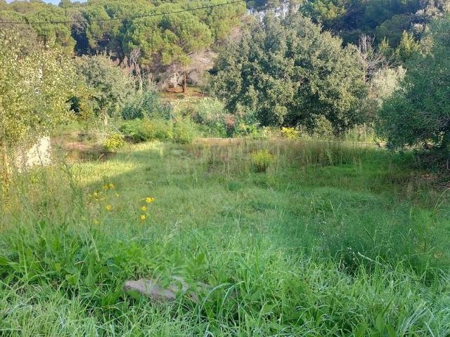 Terreno en venta en la Sagrera, Vallès Oriental