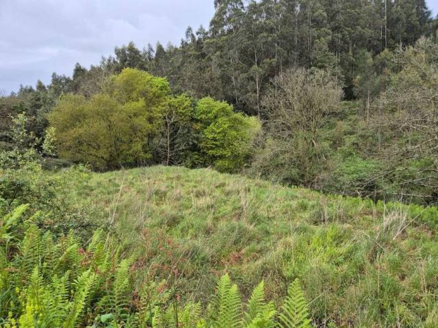 Terreno en venta en Carreño, Asturias