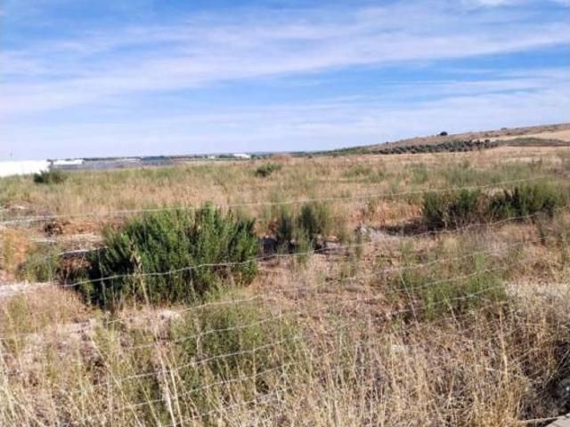 Terreno en venta en Carrión De Calatrava, Castilla-La Mancha