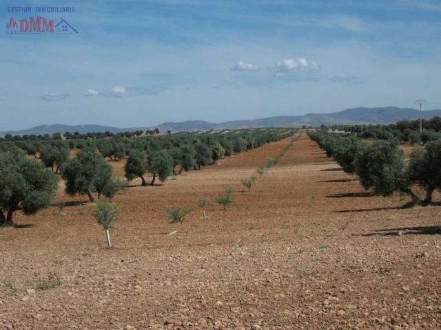 Terreno en venta en Carrión De Calatrava, Castilla-La Mancha