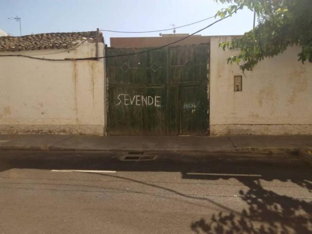 Terreno en venta en Carrión De Calatrava, Castilla-La Mancha