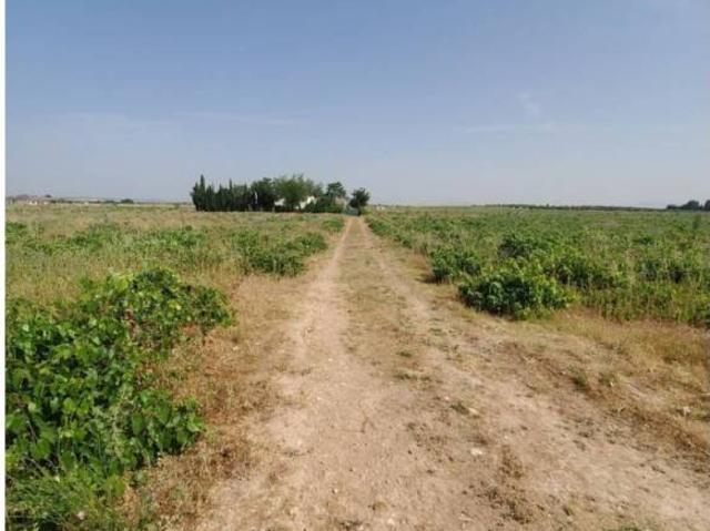 Terreno en venta en Carrión De Calatrava, Castilla-La Mancha