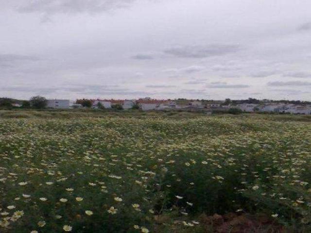 Terreno en venta en Carrión De Los Céspedes, Andalucía