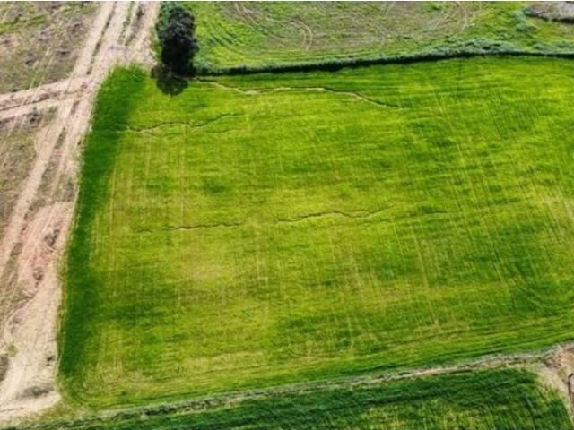 Terreno en venta en Carrión De Los Céspedes, Andalucía