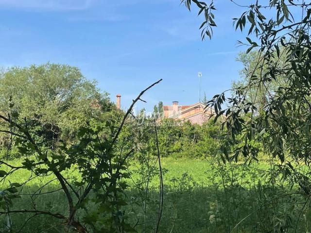 Terreno en venta en Carrión De Los Condes, Castilla y León