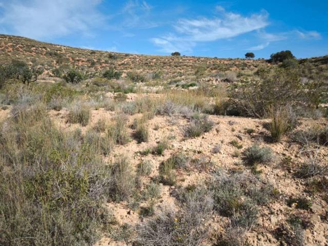 Terreno en venta en Perín, Campo de Cartagena y Mar Menor