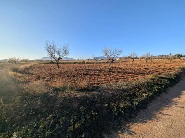 Terreno en venta en La Magdalena, Campo de Cartagena y Mar Menor