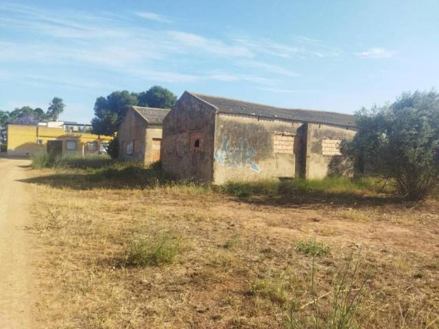 Terreno en venta en Miranda, Campo de Cartagena y Mar Menor
